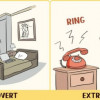 Extrovert